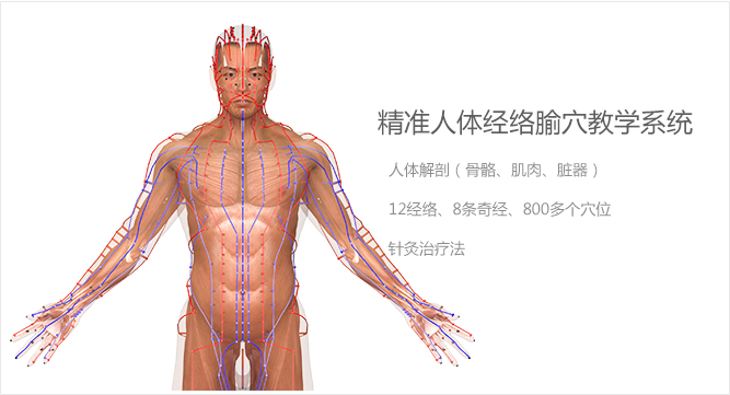 上海源胜文化传播有限公司 中医3d铜人教学软件 三维医疗动画 医学教学平台